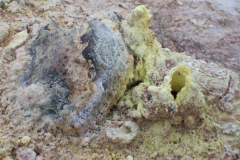 þeistareykir-IJsland-Iceland-Island