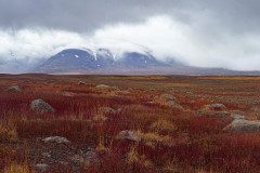 Blafell IJsland-Iceland-Island