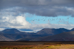 Eystrihagafellsjökull-IJsland-Iceland-Island