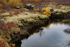 Herfstkleuren-Autumn colours-Herbstfarben-IJsland-Iceland-Island