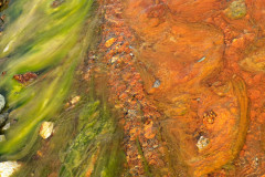 Landmannalaugar-Double-colored-algae