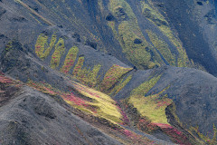 Langanes-IJsland-Iceland-Island