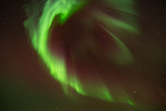 Nooderlicht-Northernlights-Nordlicht-Aurora-borealis at Fossatun-IJsland-Iceland-Island