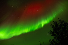 Nooderlicht-Northernlights-Nordlicht-Aurora-borealis at Fossatun-IJsland-Iceland-Island