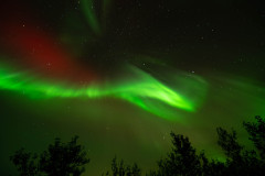 Nooderlicht-Northernlights-Nordlicht-Aurora-borealis at Fossatun-IJsland-Iceland-Island