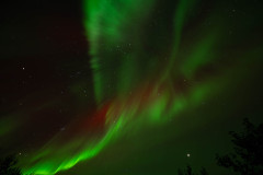 Nooderlicht-Northernlights-Nordlicht-Aurora-borealis at Fossatun-IJsland-Iceland-Island