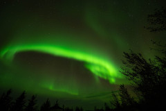 Nooderlicht-Northernlights-Nordlicht-Aurora-borealis at Hveravellir-IJsland-Iceland-Island