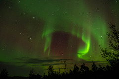 Nooderlicht-Northernlights-Nordlicht-Aurora-borealis at Fossatun-IJsland-Iceland-Island