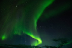Nooderlicht-Northernlights-Nordlicht-Aurora-borealis at Hveravellir-IJsland-Iceland-Island