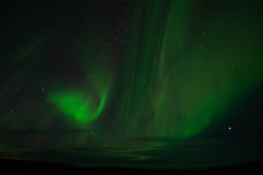Nooderlicht-Northernlights-Nordlicht-Aurora-borealis at Hveravellir-IJsland-Iceland-Island