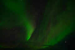 Nooderlicht-Northernlights-Nordlicht-Aurora-borealis at Hveravellir-IJsland-Iceland-Island