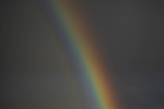 Regenboog-Rainbow-Regenbogen-Grindavik-IJsland-Iceland-Island