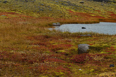 Solheimajokull-IJsland-Iceland-Island
