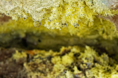 Sulfer cristal Kerlingarfjöll-IJsland-Iceland-Island