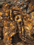 Touwlava-Pāhoehoe lavaö-IJsland-Iceland-Island