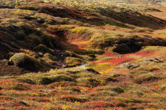 Uxahryggir-IJsland-Iceland-Island