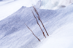 Stilleven aan het strand bij-Still life on the beach at-Stillleben am Strand bei-Husavik-IJsland-Iceland-Island