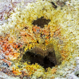 Zwavelkristallen-sulfur crystals-Schwefelkristalle-Námaskard-IJsland-Iceland-Island
