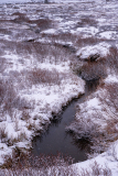 Side river to Laxa-IJsland-Iceland-Island