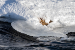 Laxá-IJsland-Iceland-Island