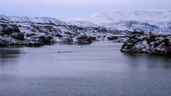 Myvatn-IJsland-Iceland-Island