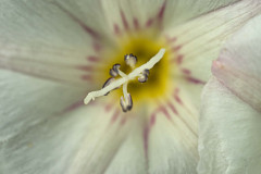 Scandinavië-Scandinavia-Scandinavien-2023