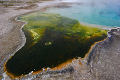 Biscuit Basin Geyser-Yellowstone USA