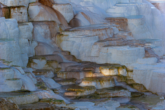 Canary Spring-Yellowstone USA