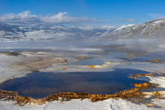 Canary Spring-Yellowstone USA