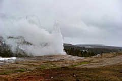 Old Faithfull Geyser Yellowstone USA