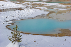 Norris Geyser Basin-Yellowstone USA