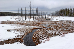 Sulfuric acid trees-Yellowstone USA