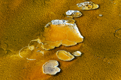 Upper Geyser Basin-Yellowstone USA