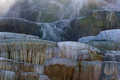Living Colours Mammoth Spring-Yellowstone USA