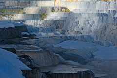 Canary Spring-Yellowstone USA