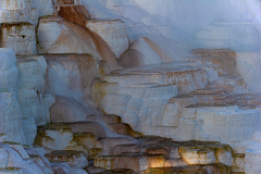 Canary Spring Yellowstone USA