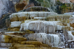 Mammoth Hot Spring-Palette-Spring Yellowstone USA-Yellowstone USA
