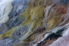 Living Colors Mammoth Spring-Yellowstone USA