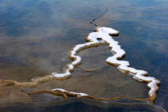 Living Colours Mammoth Spring-Yellowstone USA