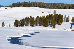 Hayden Valley-Yellowstone USA