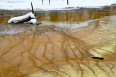 Fountain paint pot-Yellowstone USA