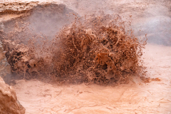 Red Sprouter Yellowstone USA