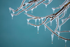 IJspegels-Icicles-Eiszapfen Yellowstone USA