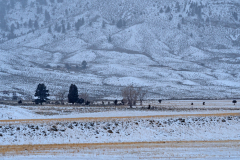 Landscape Gardener Yellowstone USA