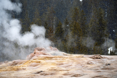 Old Faithfull Geyser Yellowstone USA