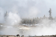 Norris Geyser Basin Yellowstone USA