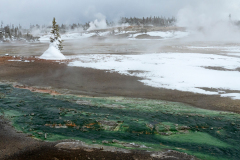 Norris Geyser Basin Yellowstone USA