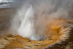 Upper Geyser Basin-Yellowstone USA