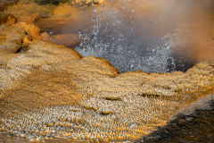 Upper Geyser Basin-Yellowstone USA