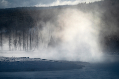 Madison River Yellowstone USA